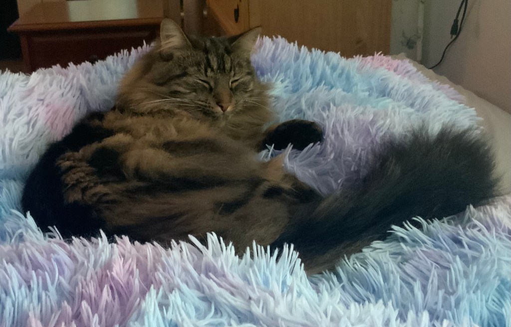 The Song of the&nbsp;People