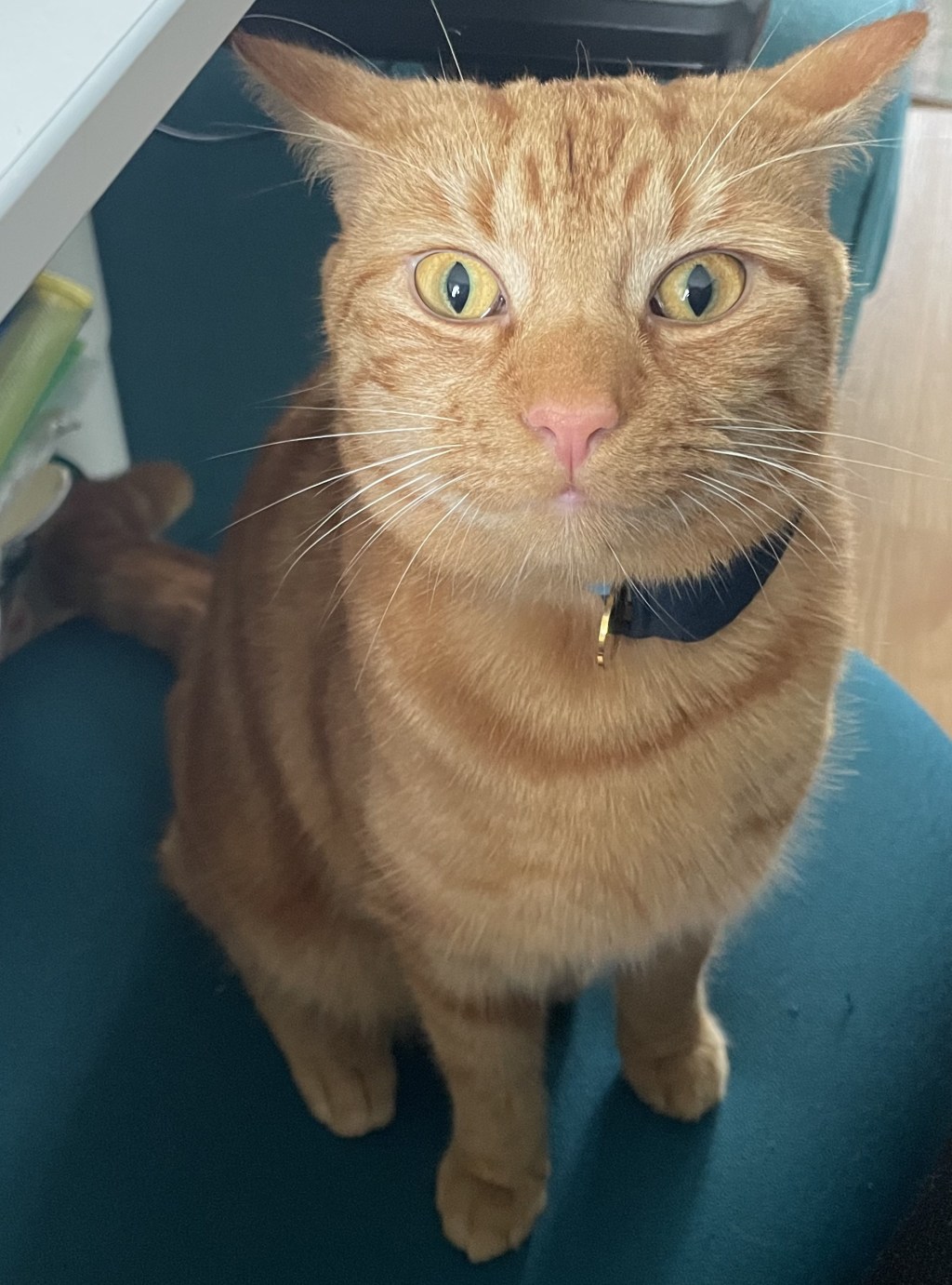 The Problem of the&nbsp;Takeaway